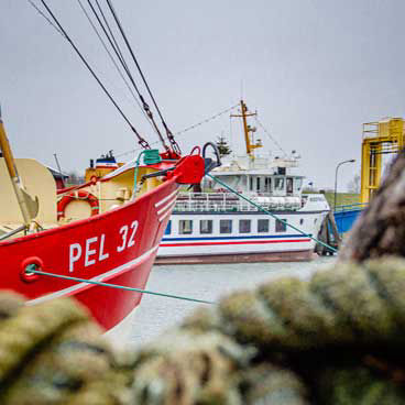 Der Hafen von Tammensiel auf Pellworm.