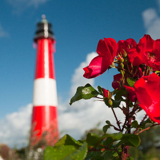 Heiraten auf dem Leuchtturm auf Pellworm